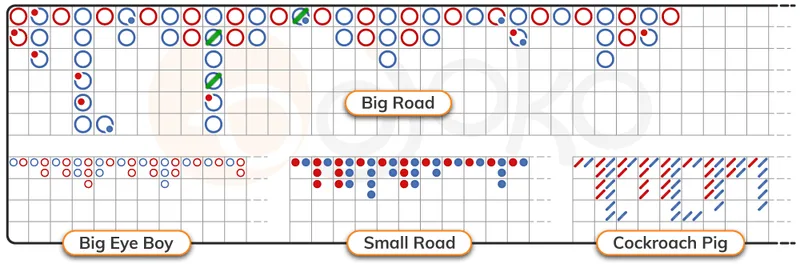 Interpreting red and blue entries on derived roads to evaluate shoe symmetry