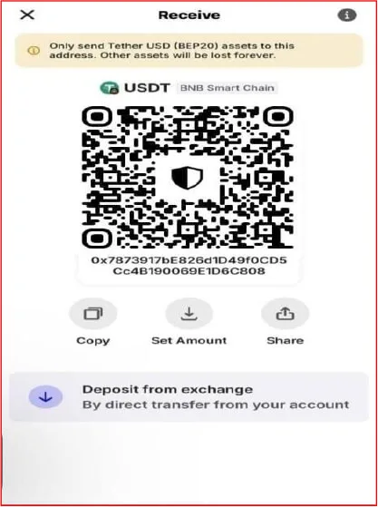 Scanning USDT TRC-20 deposit QR code and verifying transaction hash on TronScan